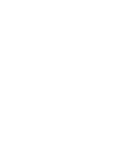 Electrosity